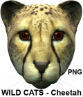 Wild Cats Cheetah, PNG Clipart by Winterbrose