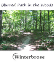 Blurred Path in the Woods by Winterbrose. This image is 2048x1536 pixels in PNG format and is perfect for a background that needs to be slightly blurred out eliminating the need for any depth of field (DOF) adjustments to your rendered artwork. You may use this image in both personal and commercial projects in accordance with licensing in the ReadMe file.