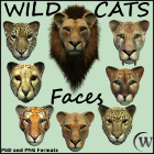 Feline lovers will delight in this set of wild cat faces showing some of today's most fearsome predators with such loveable faces. This collection features a set of  eight (8) hi-res PNG files with transparency.