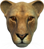 LIONESS, queen of the wild kingdom, display this face shot anywhere you need this wild cat to appear.