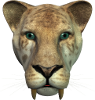 SABERTOOTH, guardian of past ancient kingdoms, display this face shot anywhere you need this wild cat to appear.