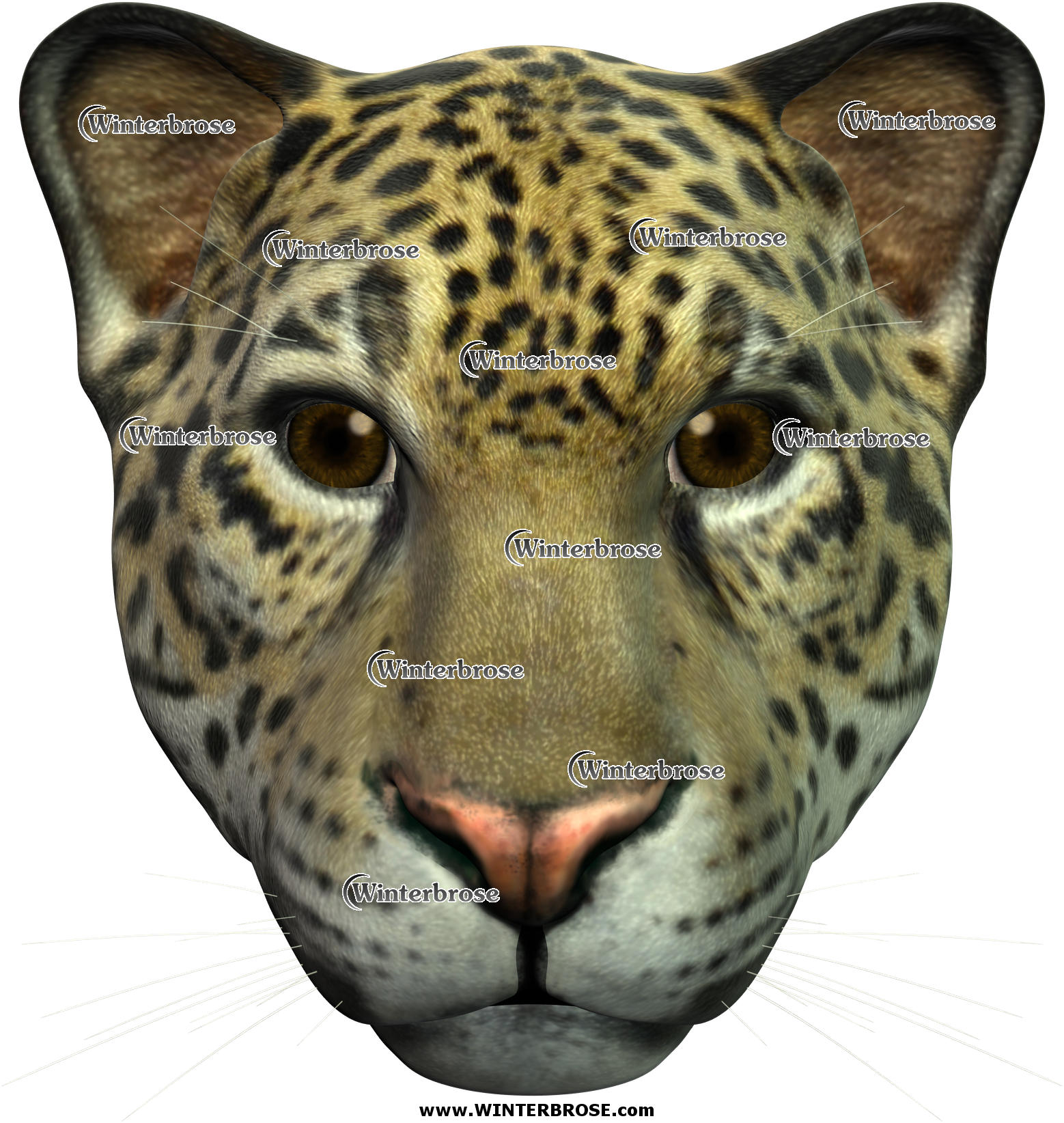 JAGUAR, speedy warrior of the wild kingdom, display this face shot anywhere you need this wild cat to appear.