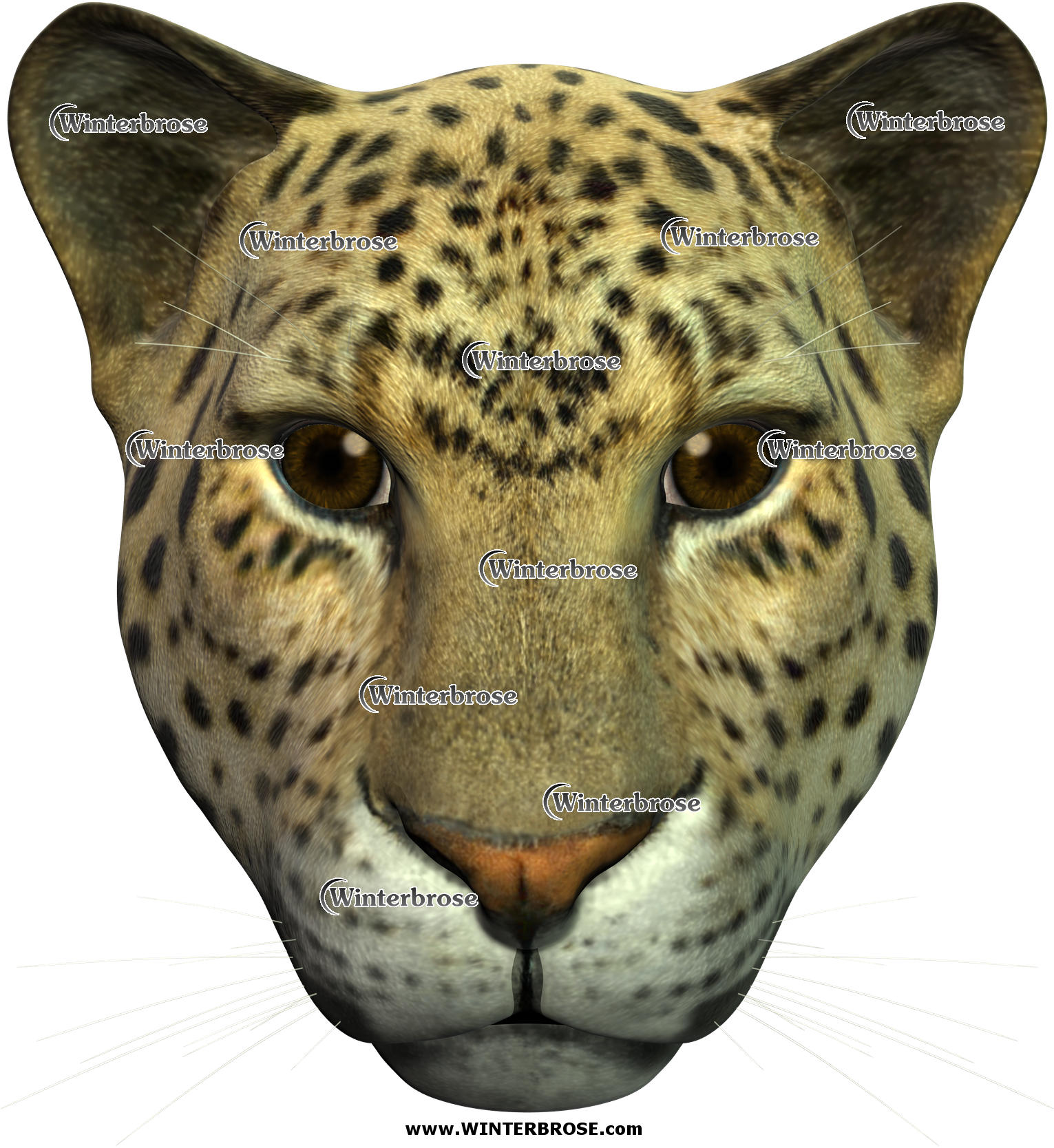 LEOPARD, advisor to royalty in the wild kingdom, display this face shot anywhere you need this wild cat to appear.