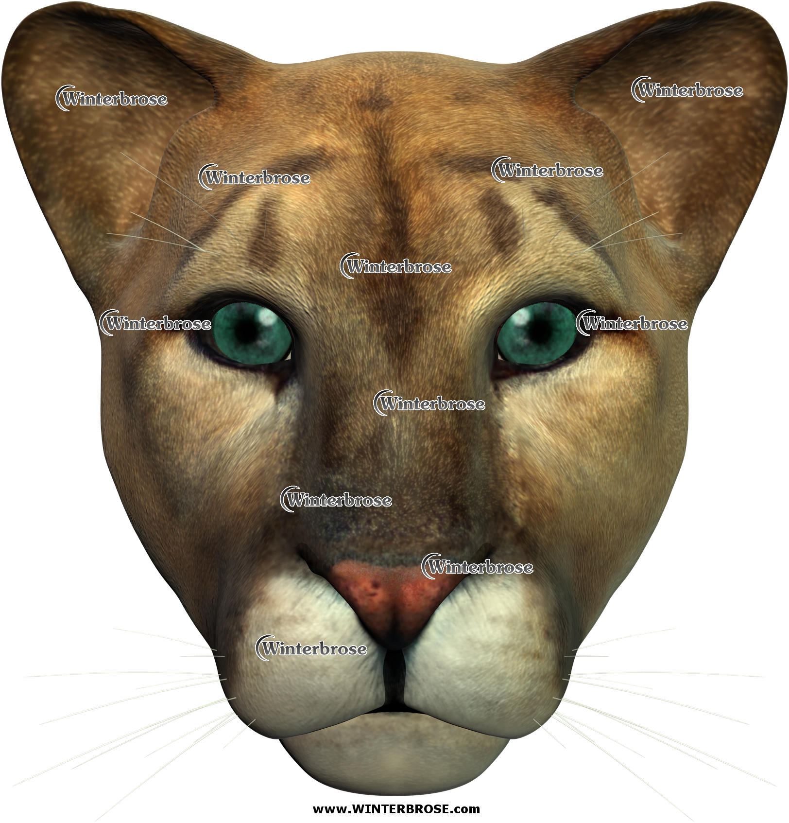 PUMA, guardian of the forest, display this face shot anywhere you need this wild cat to appear.